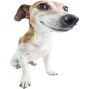 [X]odok 3anuB0M avatar