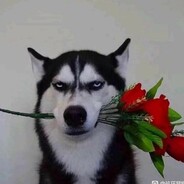 云爷游铲蛟化龙