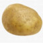 Potato
