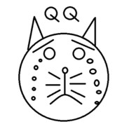 QQcat