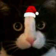 咪咪（圣诞限定）
