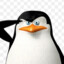 Agent Skipper