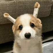 九十八线男歌手