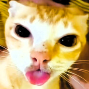 古月-坤巴战神绿爆天