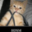 BDSM