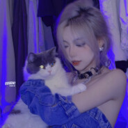 一只花蛤的臭脚