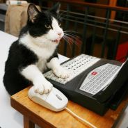 ^0(^2S^0~^2P^0) ^2Black^2^0Ops