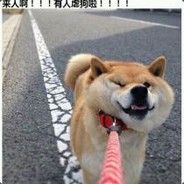 ปลาวาฬฤดูใบไม้ร่วง