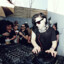 xX_skrillexfan666_Xx