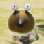 borb
