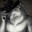 WeS_Pirat