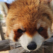 なぎのうえ じょうけん