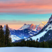 无情杀手灰太狼