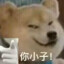 你的肥哥