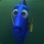 sad dori