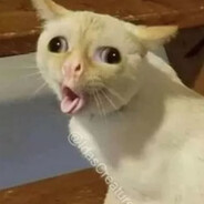 BaMoKok