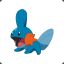 Mudkip