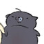boog