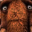 kaankitolokko