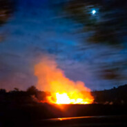 贪生怕死莫入此门