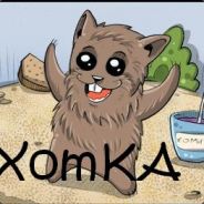 XoMka