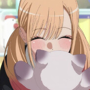 Kitty Cat :3