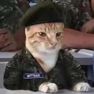 Capt. Mittens