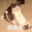 别把猴子当人