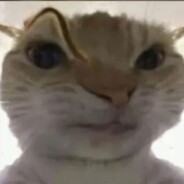 Плешивый черт