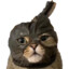 Carrik