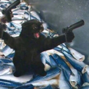 厄咒：第三封印