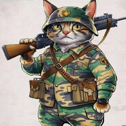 [CATS] MIKOTO