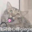 迷倒万千少女