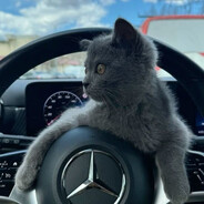 BoSs avatar