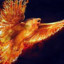 Firebird