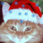 Cat Stepan