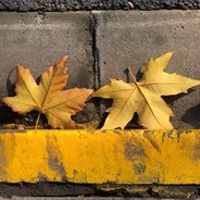 梦已成空•梦醒