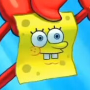 Krusty Sponge Napkins