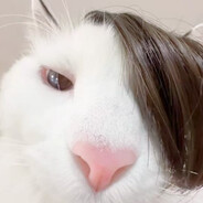 我有一个小鱼宝