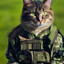 Combat Cat