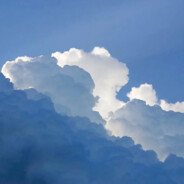 中老年妇女杀手