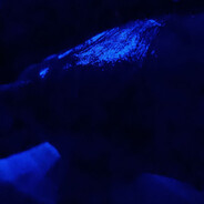 Uzi's avatar