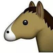 ---下等马分界线---