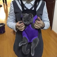 专扁小蚂蚁(吃鸡号)