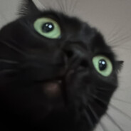 puscarie