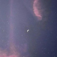 你已经是个成年人了，要学会自己动