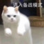 爱意随风起