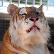 共产党的好儿子