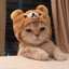 Cerb's avatar