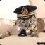 Comander Meow